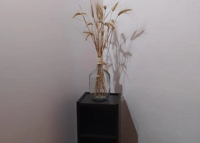 La Maestra Сasa de vacaciones