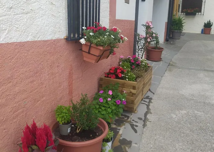 La Maestra Сasa de vacaciones *